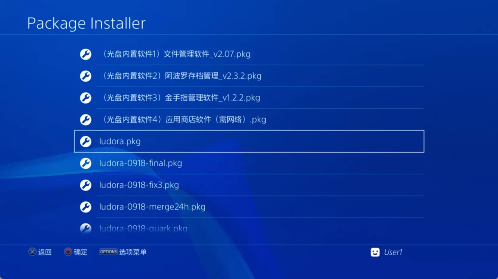 GoldHEN 的 Package Installer 列出可安装的 pkg 文件
