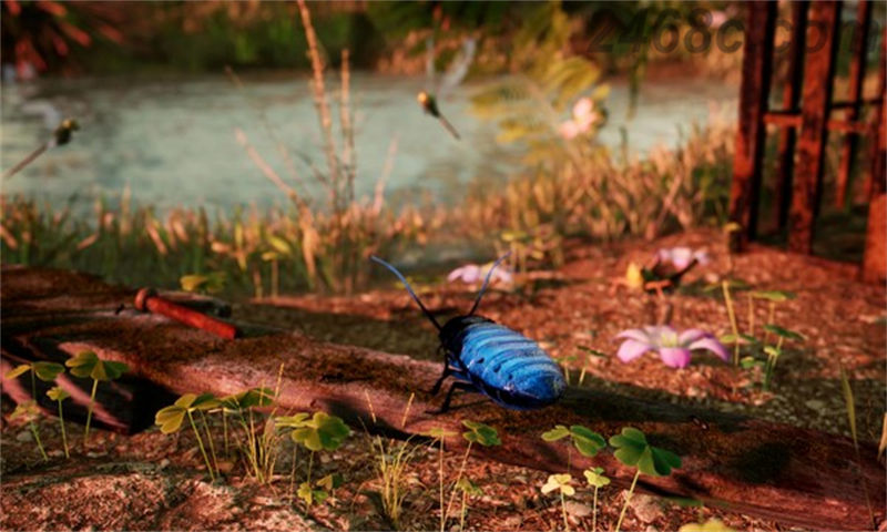 Away: The Survival Series