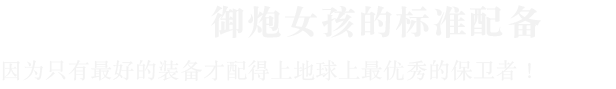 御炮少女|官方中文|Build.24812309+全DLC|解压即撸|