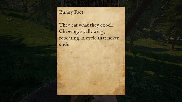 兔子投射/Bunny Hurling