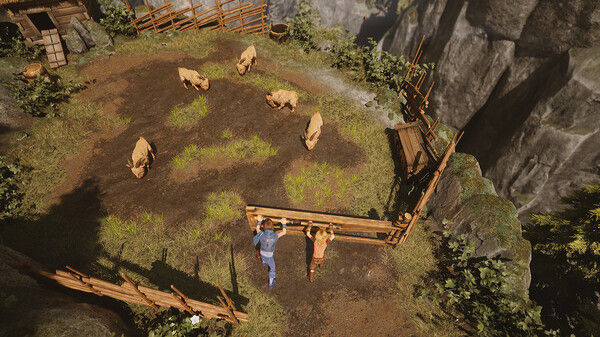 兄弟:双子传说 重制版(Brothers: A Tale of Two Sons Remake)