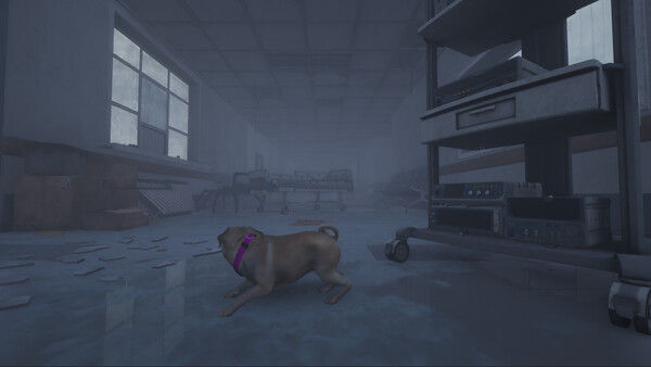 The Good Dog: Chasing Shadows