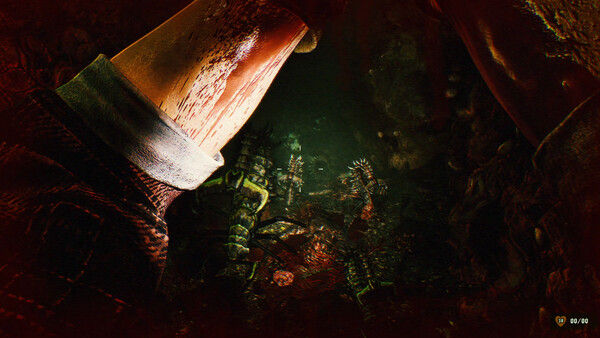 残躯：虫患墓穴/GUTTED: Infested Crypts