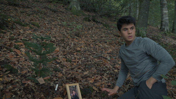 无言之林 Wordless Forest