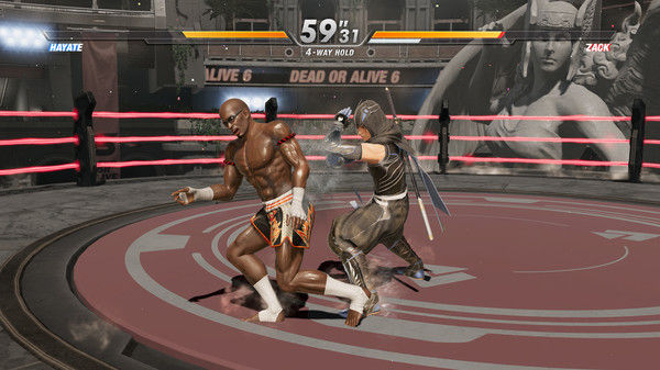死或生6/DEAD OR ALIVE 6