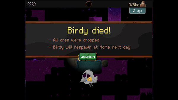 钻头鸟/Drill Bird