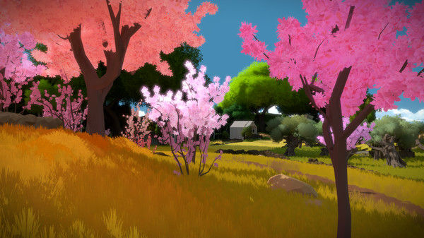 目击者/The Witness
