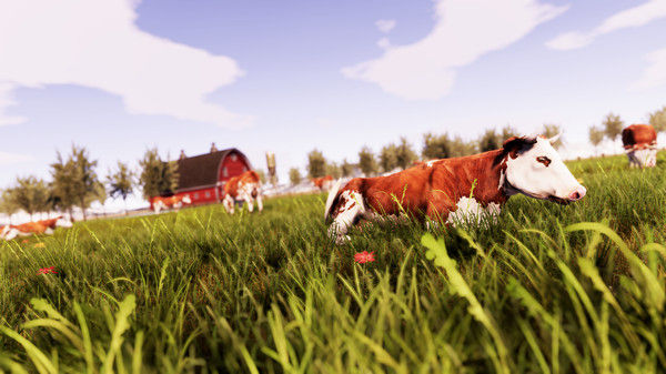 真实农场：黄金版/Real Farm