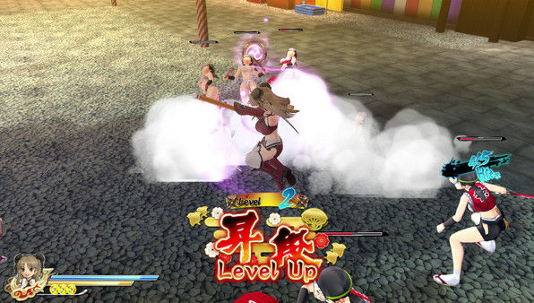 闪乱神乐：少女们的选择/SENRAN KAGURA ESTIVAL VERSUS