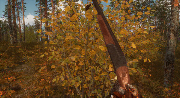 BULT：狩猎模拟器/BULT: Hunting simulator