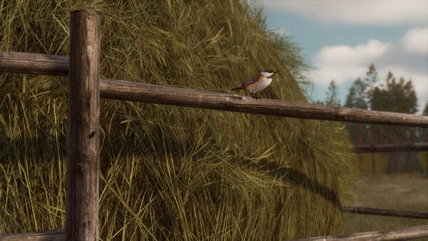 BULT：狩猎模拟器/BULT: Hunting simulator