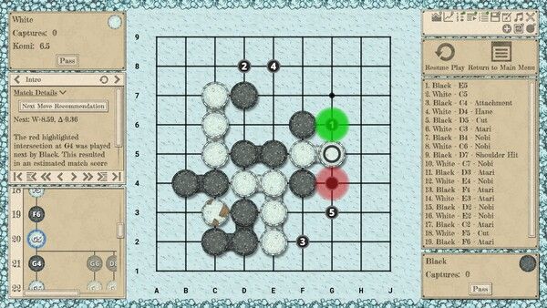 The Conquest of Go