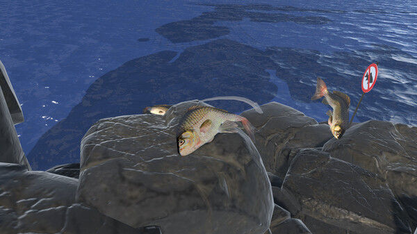 Fish Hero