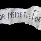 森林内的恐怖/Horror inside the forest