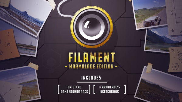 钨丝/Filament