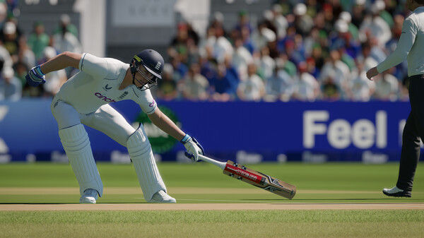 板球24/Cricket 24