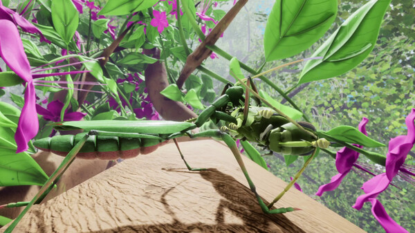 Nature And Life - Drunk On Nectar